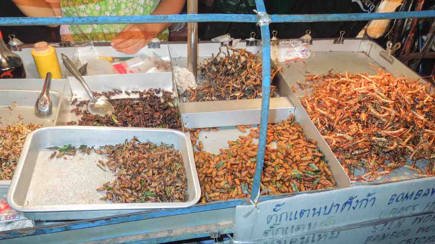 炸虫，泰国著名街头食品 库存图片. 图片 包括有 嘎吱咬嚼, 聚会所, 深深, 轰隆的, 油煎, 的百威 - 197838823